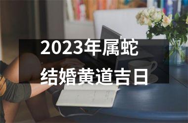<h3>2025年属蛇结婚黄道吉日