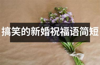 <h3>搞笑的新婚祝福语简短