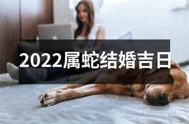 <h3>2025属蛇结婚吉日