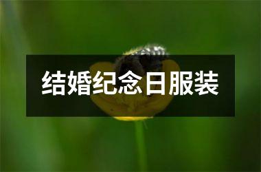 <h3>结婚纪念日服装