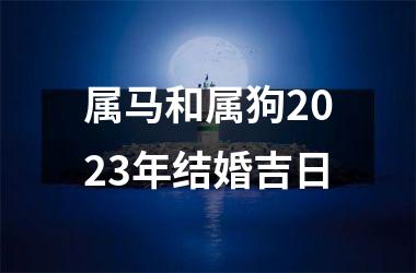 <h3>属马和属狗2025年结婚吉日