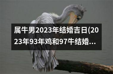 <h3>属牛男2025年结婚吉日(2025年93年鸡和97牛结婚吉日)