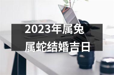 <h3>2025年属兔属蛇结婚吉日
