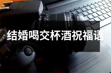<h3>结婚喝交杯酒祝福语