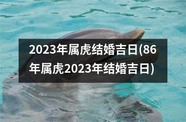 <h3>2025年属虎结婚吉日(86年属虎2025年结婚吉日)