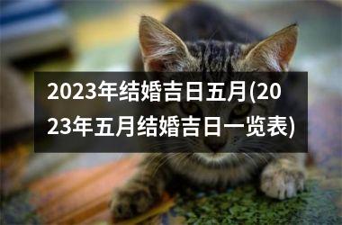<h3>2025年结婚吉日五月(2025年五月结婚吉日一览表)