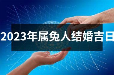 <h3>2025年属兔人结婚吉日