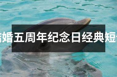 结婚五周年纪念日经典短句