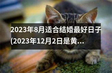 <h3>2025年8月适合结婚好日子(2025年12月2日是黄道吉日吗)