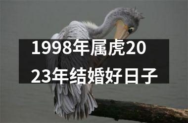 <h3>1998年属虎2025年结婚好日子