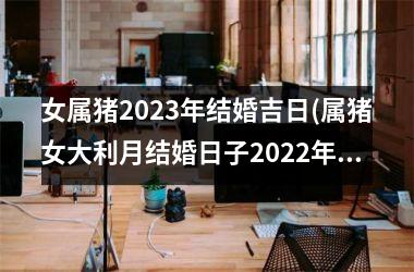 <h3>女属猪2025年结婚吉日(属猪女大利月结婚日子2025年)