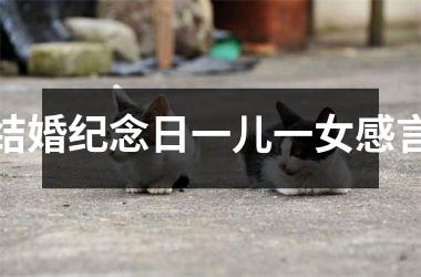 <h3>结婚纪念日一儿一女感言