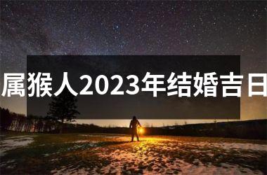 属猴人2025年结婚吉日