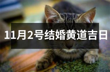 <h3>11月2号结婚黄道吉日