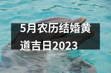 <h3>5月农历结婚黄道吉日2025
