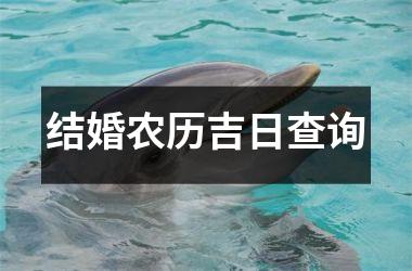 <h3>结婚农历吉日查询