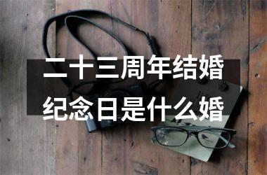 <h3>二十三周年结婚纪念日是什么婚