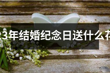 <h3>23年结婚纪念日送什么花