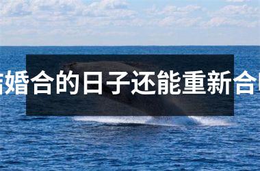 结婚合的日子还能重新合吗