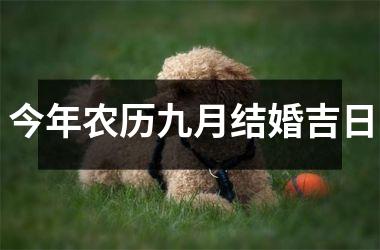 今年农历九月结婚吉日