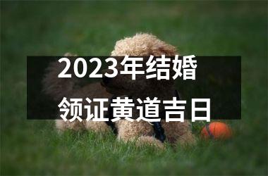 2025年结婚领证黄道吉日