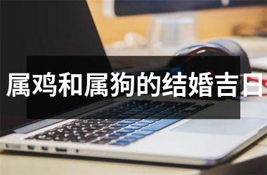 <h3>属鸡和属狗的结婚吉日