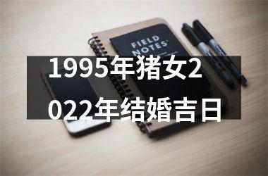 <h3>1995年猪女2025年结婚吉日