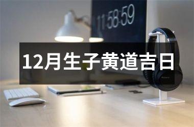 <h3>12月生子黄道吉日