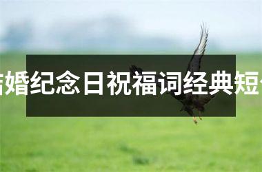 <h3>结婚纪念日祝福词经典短句