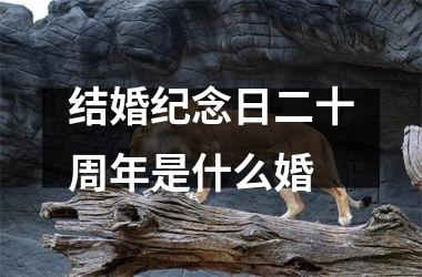 <h3>结婚纪念日二十周年是什么婚
