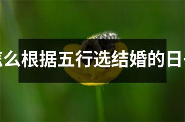 怎么根据五行选结婚的日子