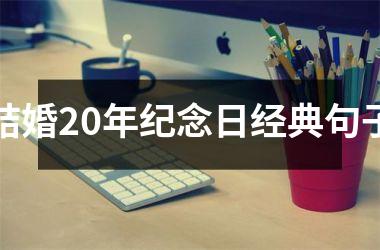 <h3>结婚20年纪念日经典句子
