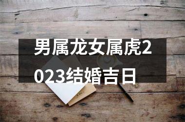 <h3>男属龙女属虎2025结婚吉日