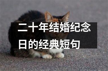 <h3>二十年结婚纪念日的经典短句