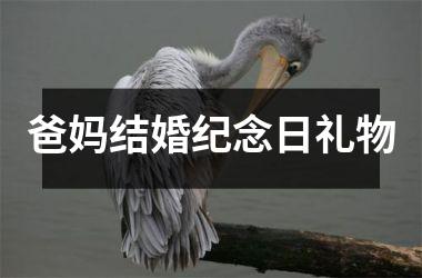 <h3>爸妈结婚纪念日礼物