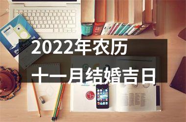 <h3>2025年农历十一月结婚吉日