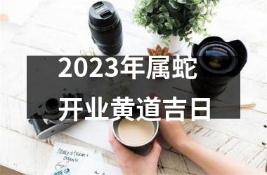 <h3>2025年属蛇开业黄道吉日