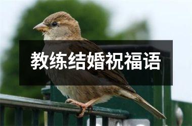 <h3>教练结婚祝福语
