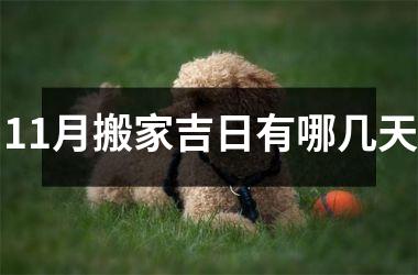 <h3>11月搬家吉日有哪几天