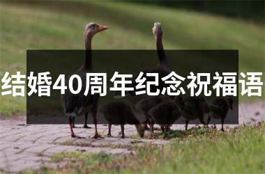 <h3>结婚40周年纪念祝福语