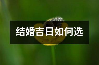 结婚吉日如何选
