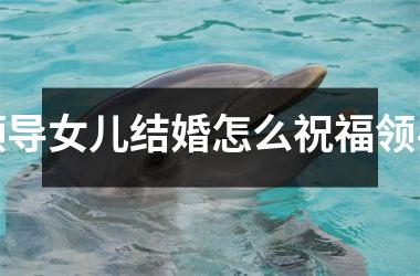 <h3>领导女儿结婚怎么祝福领导