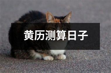 黄历测算日子