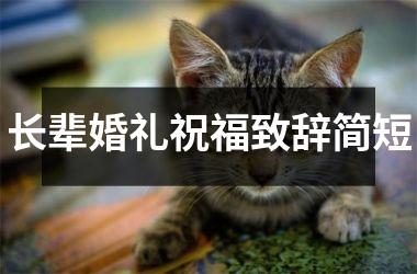 <h3>长辈婚礼祝福致辞简短