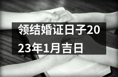 领结婚证日子2025年1月吉日