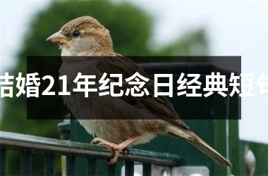 <h3>结婚21年纪念日经典短句