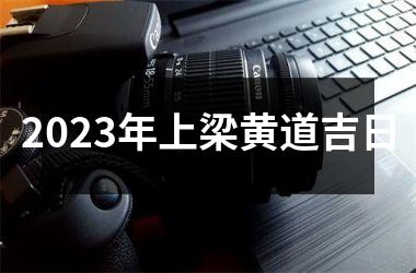 <h3>2025年上梁黄道吉日