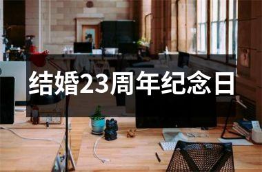 <h3>结婚23周年纪念日