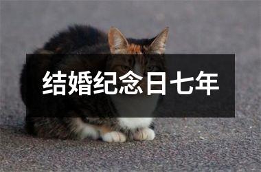 <h3>结婚纪念日七年