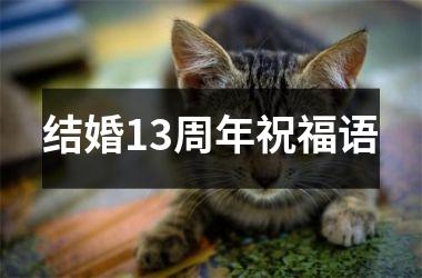 <h3>结婚13周年祝福语